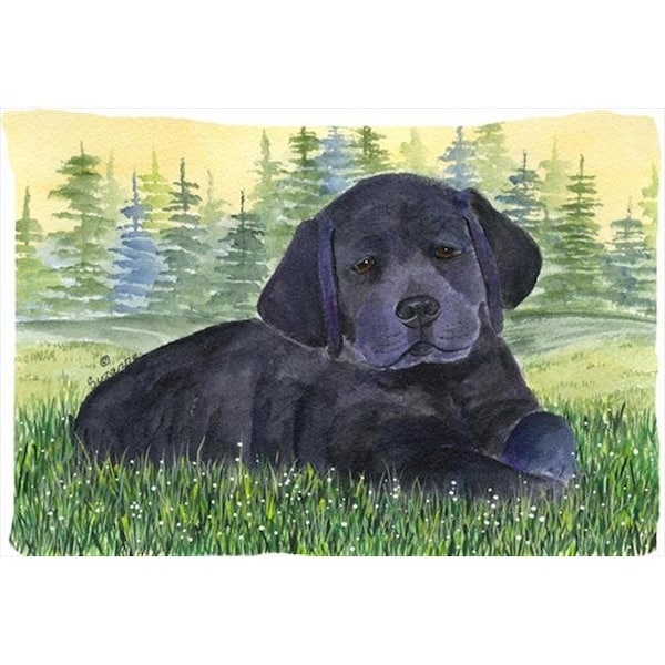 Carolines Treasures SS8343PILLOWCASE 20.5 x 30 in. Labrador Moisture Wicking Fabric Standard Pillowcase SS8343PILLOWCASE - main